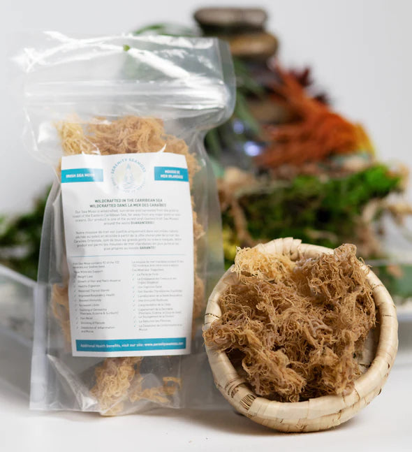 Serenity Seamoss Dry Gold Sea Moss Coco Market