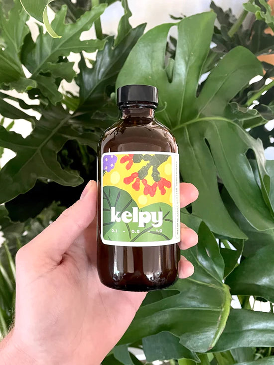 Kelpy Plant Food