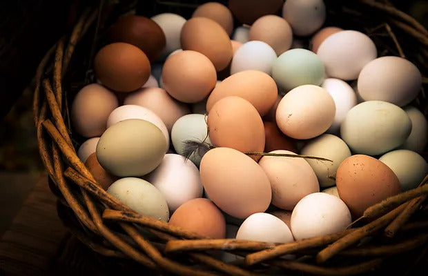 Murray's Farm - Heritage Eggs