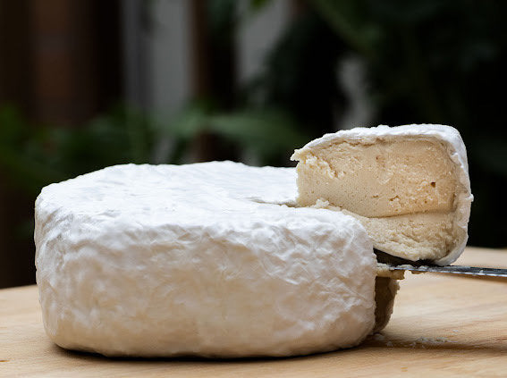 Future of Cheese - Plant-Based Ripened Brie